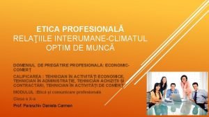 Domeniul De Pregtire Profesional Comereconomic Calificare Profesional Tehnician