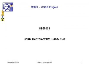 CERN CNGS Project NBI 2003 HORN RADIOACTIVE HANDLING