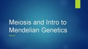 Meiosis and Intro to Mendelian Genetics RELAY RELAY