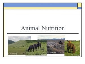 Animal Nutrition K Launchbaugh USDAARS BLM Photo K