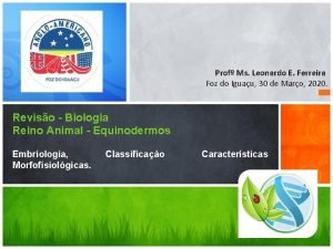 Prof Ms Leonardo E Ferreira Foz do Iguau