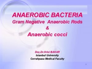 Anaerobic rods Anaerobic rods