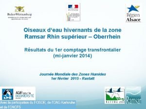 Oiseaux deau hivernants de la zone Ramsar Rhin