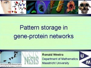 Pattern storage in geneprotein networks Ronald Westra Department