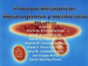 Procesos Metablicos Metanognesis y Metiltrofos BIOL 4368 030