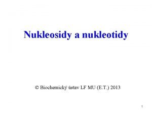 Nukleosidy a nukleotidy Biochemick stav LF MU E