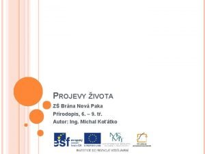 PROJEVY IVOTA Z Brna Nov Paka Prodopis 6