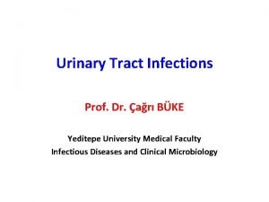 Urinary Tract Infections Prof Dr ar BKE Yeditepe