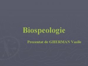 Biospeologia