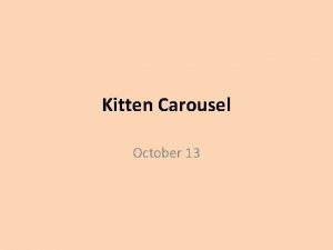 Kitten carousel experiment