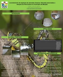 Levantamento de espcies de odonatas Insecta Odonata associadas