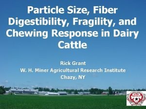 Particle Size Fiber Digestibility Fragility and Chewing Response