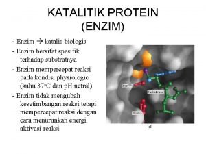 KATALITIK PROTEIN ENZIM Enzim katalis biologis Enzim bersifat