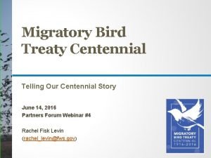 Migratory Bird Treaty Centennial Telling Our Centennial Story