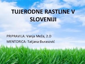 TUJERODNE RASTLINE V SLOVENIJI PRIPRAVILA Vanja Mea 2