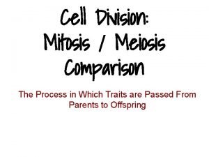 Cell Division Mitosis Meiosis Comparison The Process in