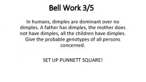 Bell Work 35 In humans dimples are dominant