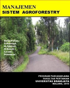 MANAJEMEN SISTEM AGROFORESTRY BatasPohan D Rahmadi M Djauhari