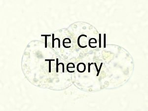 The Cell Theory The Cell The basic unit