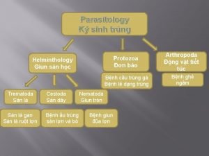 Parasitology K sinh trng Protozoa n bo Helminthology