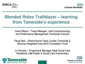 Blended Roles Trailblazer learning from Tamesides experience Dave