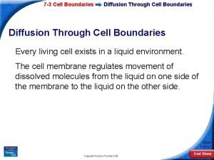 Diffusion through cell boundaries