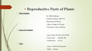 Reproductive Parts of Plants Class Teacher Dr Riffat