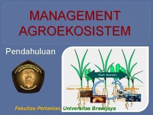 MANAGEMENT AGROEKOSISTEM Pendahuluan Fakultas Pertanian Universitas Brawijaya PERMASALAHAN