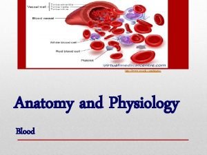 Blood in anatomy and physiology