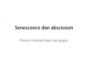 Senescence dan abscission Proses menjadi layu dan gugur