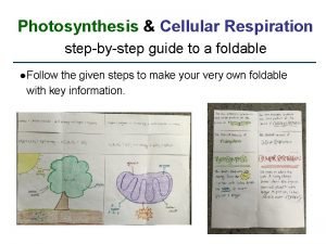 Photosynthesis and cellular respiration foldable