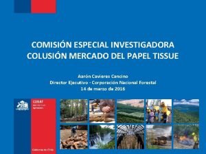 COMISIN ESPECIAL INVESTIGADORA COLUSIN MERCADO DEL PAPEL TISSUE