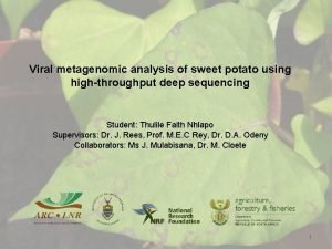 Viral metagenomic analysis of sweet potato using highthroughput