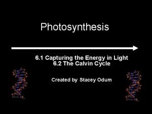 Photosynthesis 6 1 Capturing the Energy in Light