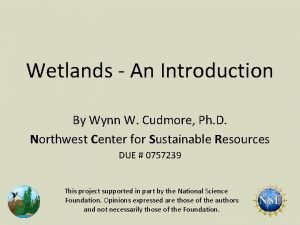 Wetlands An Introduction By Wynn W Cudmore Ph