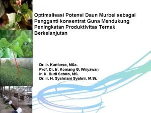 Optimalisasi Potensi Daun Murbei sebagai Pengganti konsentrat Guna