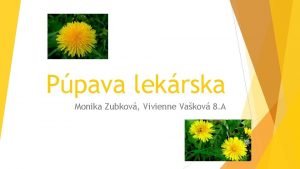 Ppava lekrska Monika Zubkov Vivienne Vakov 8 A