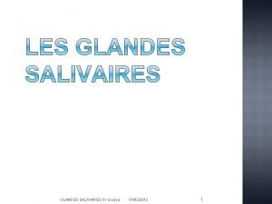 GLANDES SALIVAIRES Dr Soussa 01022012 1 Gnralits La