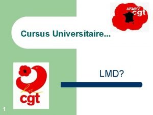 Cursus Universitaire LMD 1 L M D LICENCE