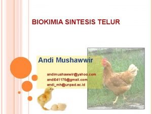 BIOKIMIA SINTESIS TELUR Andi Mushawwir andimushawwiryahoo com andi