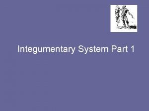 Integumentary System Part 1 The Integumentary system skin