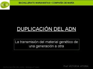 BACHILLERATO MARIANISTAS COMPAA DE MARA DUPLICACIN DEL ADN
