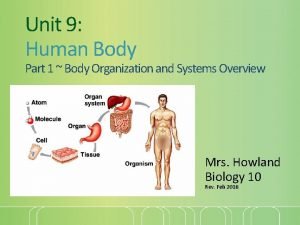 Unit 9 Human Body Part 1 Body Organization