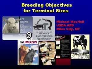 Breeding Objectives for Terminal Sires Michael Mac Neil