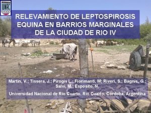 RELEVAMIENTO DE LEPTOSPIROSIS EQUINA EN BARRIOS MARGINALES DE