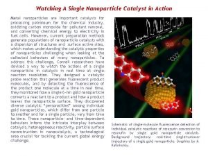 Watching A Single Nanoparticle Catalyst in Action Metal