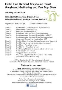 Hollin Hall Retired Greyhound Trust Greyhound Gathering and
