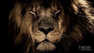 THE LION AND THE LAMENTATIONS HEALTHY SPIRITUALITY IS