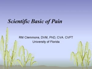 Scientific Basic of Pain RM Clemmons DVM Ph