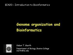 BI 420 Introduction to Bioinformatics Genome organization and
